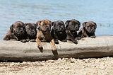 STAFFIE 054